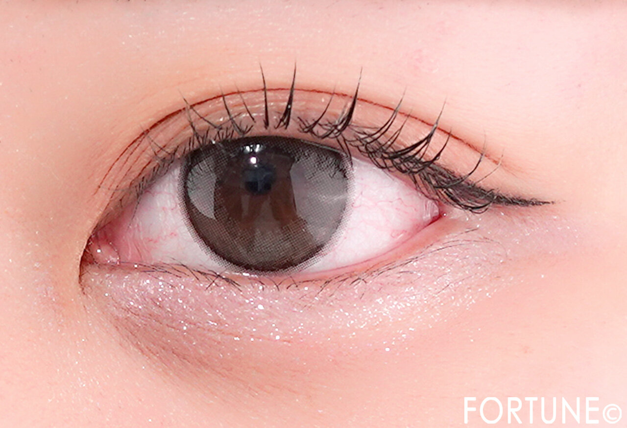 CANMAKE（キャンメイク）　プランぷくコーデアイズNeo　N02