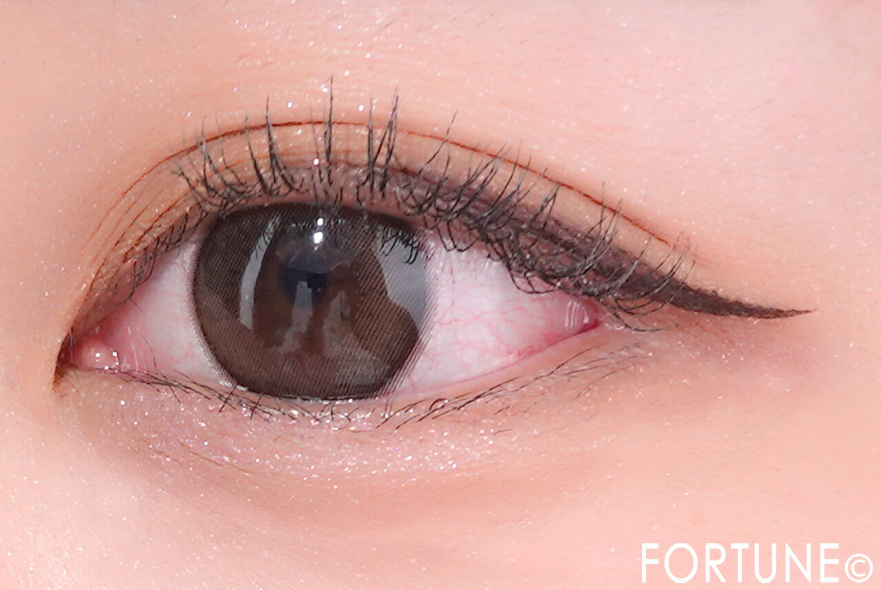 ettusais（エテュセ）　『エテュセ　ラスティング　リキッドライナー』　06 チェリーブラック