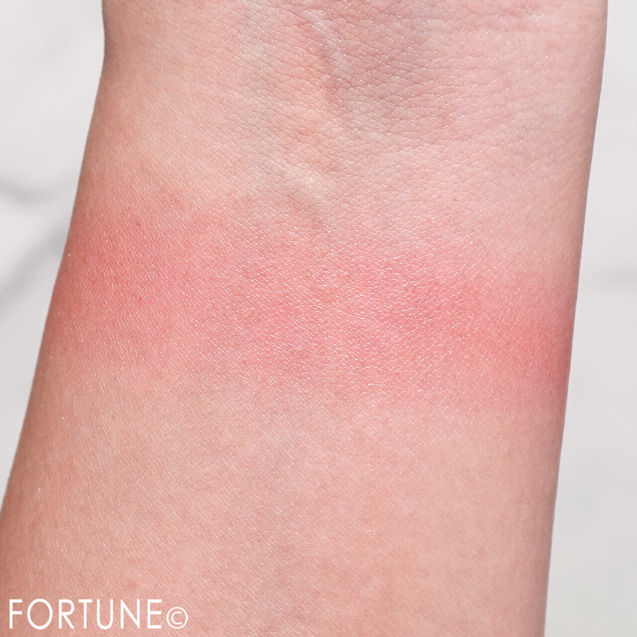 CANMAKE（キャンメイク）　『パウダーチークス』　P06 ジューシーコーラル