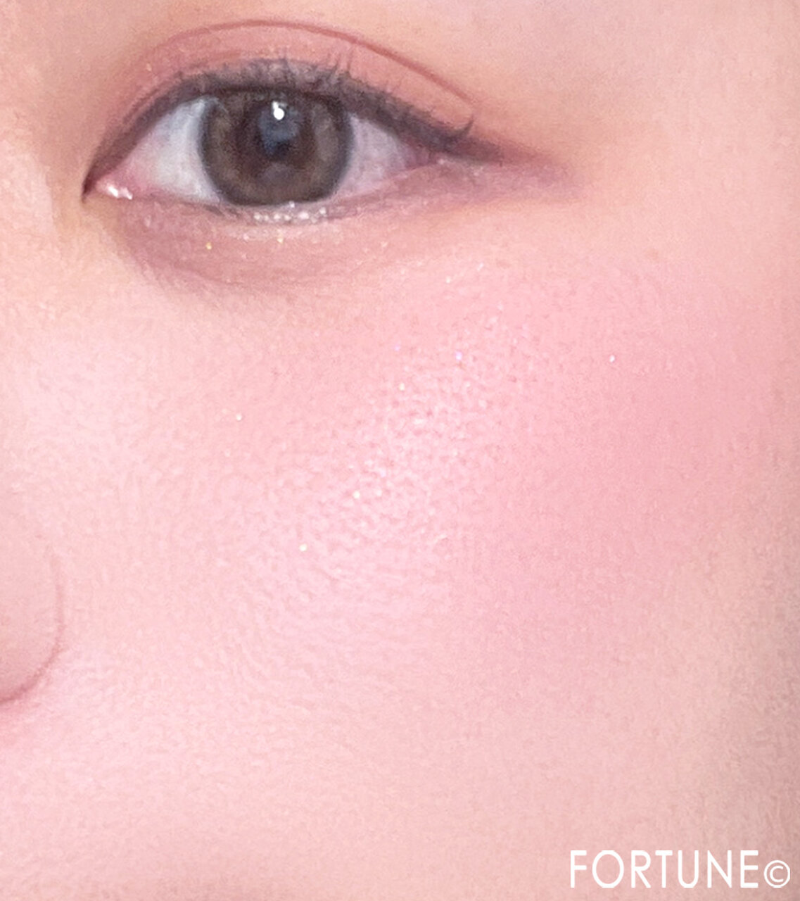 CANMAKE（キャンメイク）　『パウダーチークス』　P06 ジューシーコーラル