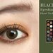 HOW TO｜中国コスメ《ブラックタイム》を使って“チャイボーグ風アイ”に♡パレットの使い方紹介 - ふぉーちゅん(FORTUNE)