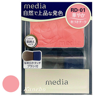 ブライトアップチ－クN RD-01 (258441)