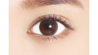 レヴィア サークル ワンデー ブラウン (476895)