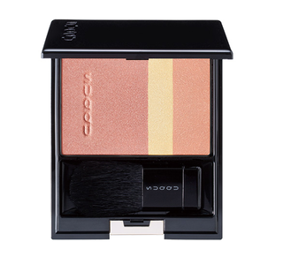 ピュア カラー ブラッシュ｜SUQQU [スック] (478928)