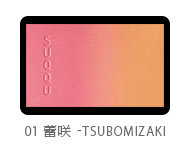ピュア カラー ブラッシュ01｜SUQQU (535665)