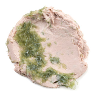 マリンに恋して | ラッシュ (674339)