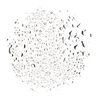 ティーツリーウォーター | ラッシュ (674389)