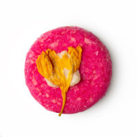 ラッシュ　ココナイス ケーキ　 シャンプーバー (811879)