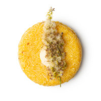 ラッシュ　ギボウシ ヘア  シャンプーバー (811891)