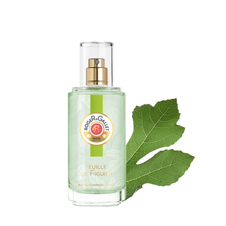 FEUILLE DE FIGUIER - フィグリーフ｜ロジェ・ガレ (816571)