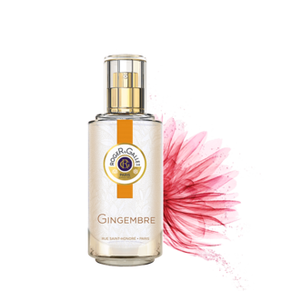 GINGEMBRE - ジンジャー｜ロジェ・ガレ (816574)