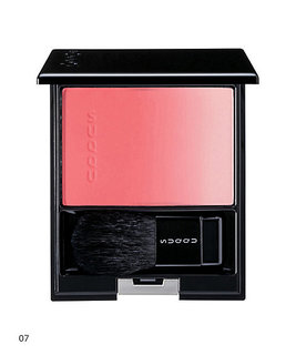 スック ピュア カラー ブラッシュ 07 (860033)