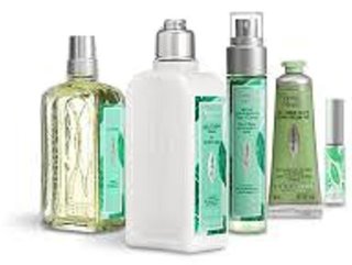 「ミントヴァーベナ コンプリート」 (884110)