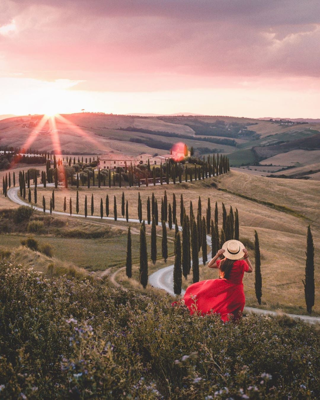 d785019a-6b29-4493-9a83-