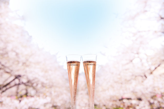 大阪城で満開の桜を楽しむ新名所♡ミライザ大阪城内で春のお花見“桜フェア”開催!