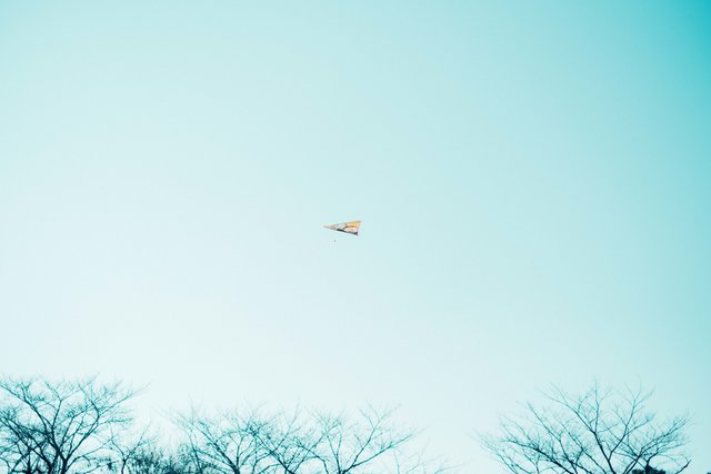 【ぽんずのみちくさ Vol.2】今夜、世界の裏側へ