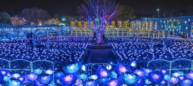 冬に撮影したいものといえばコレ!関東近郊の絶景イルミネーションイベント4選