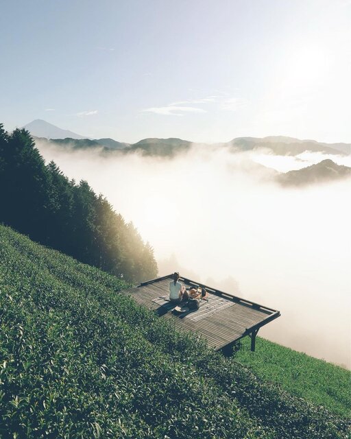 富士山と雲海を望む茶畑でティータイムを楽しめる「天空の茶の間」