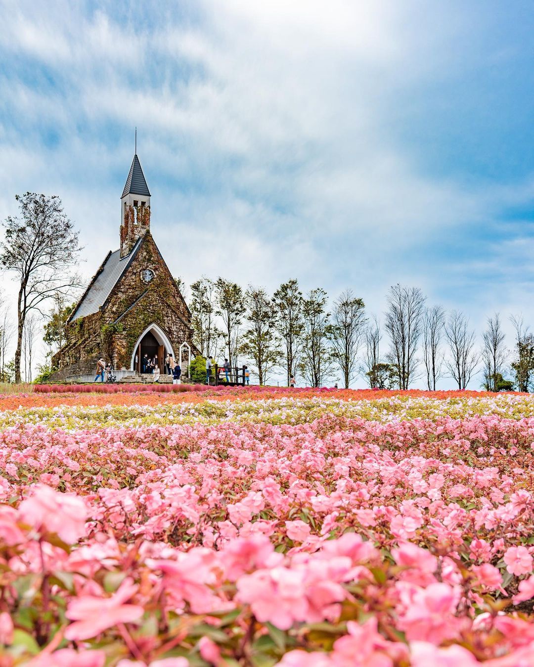 花畑・花見スポット | GENIC｜ジェニック