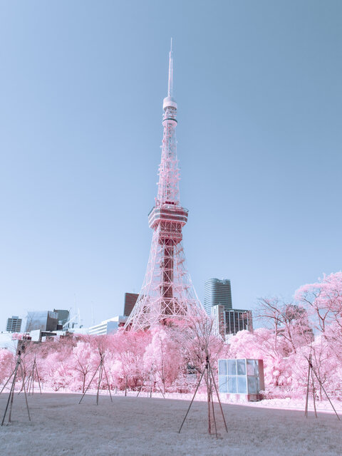 【あの人が見つけた“自分らしい”写真表現：２】しふぉん