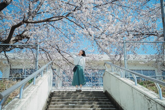 写真家 tomosakiが切り取る、福井県あわら市の10の風景。企画連載「あわら色」がスタート
