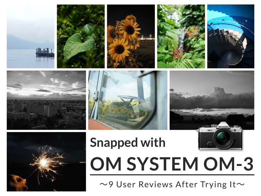 色で遊び、色で魅せる。「OM SYSTEM OM-3」を使って9名が見つけた新表現