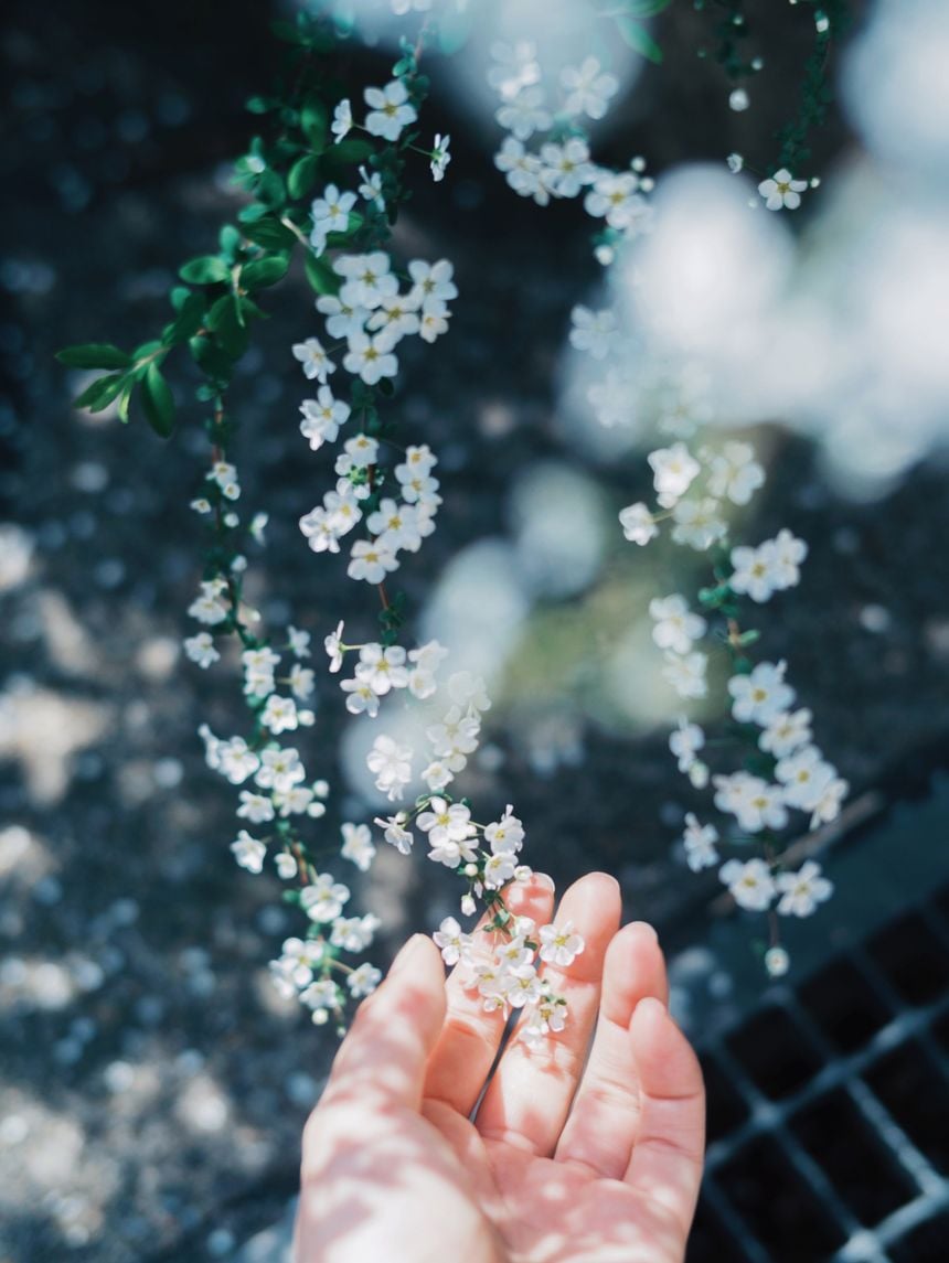 Kimura Hinami 写真展「In Light, I Live」が、東京 三軒茶屋で開催。日常に潜むささやかな光の断片を集めた