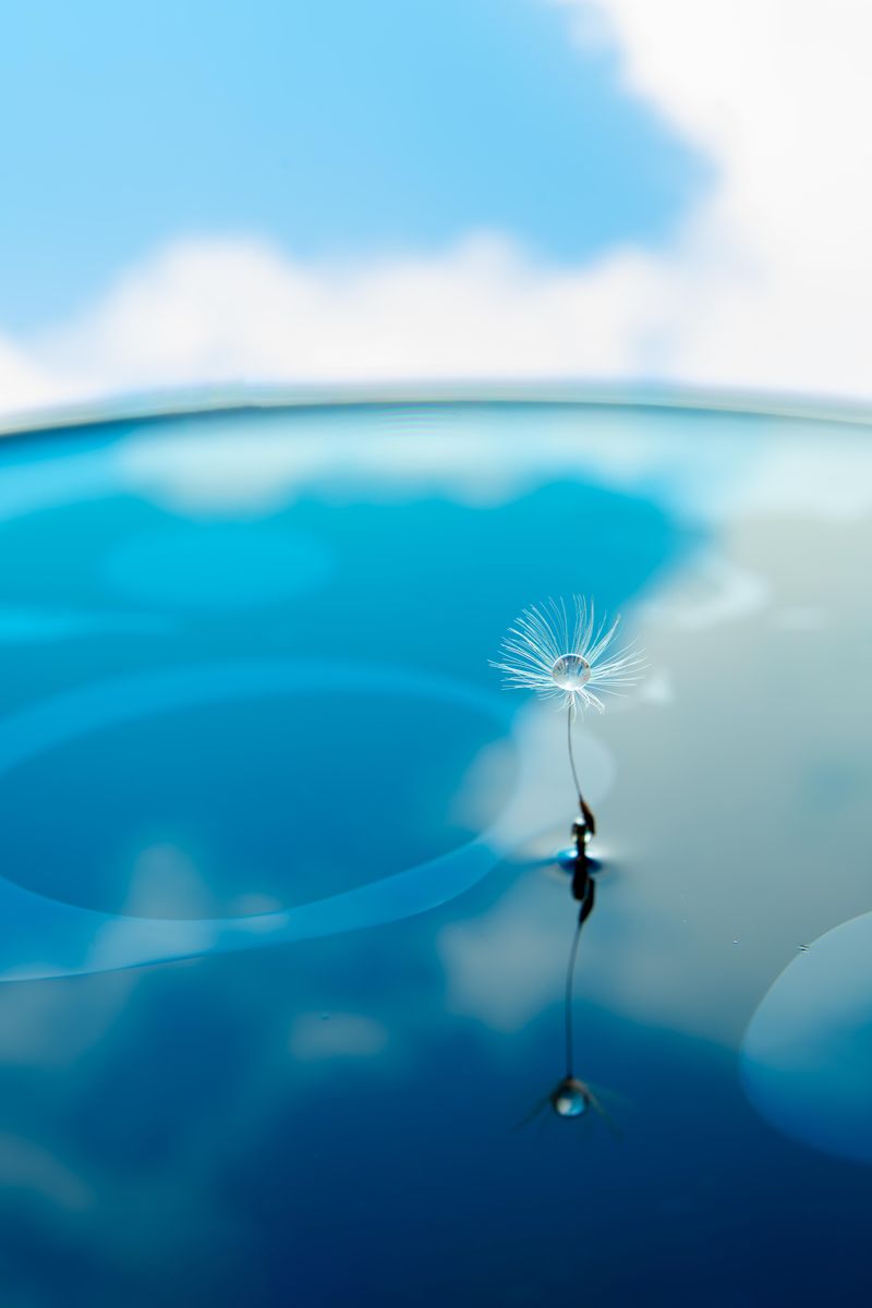 ずっと知りたかった「あの写真の秘密」第9回：6151／MCクローズアップ NEO