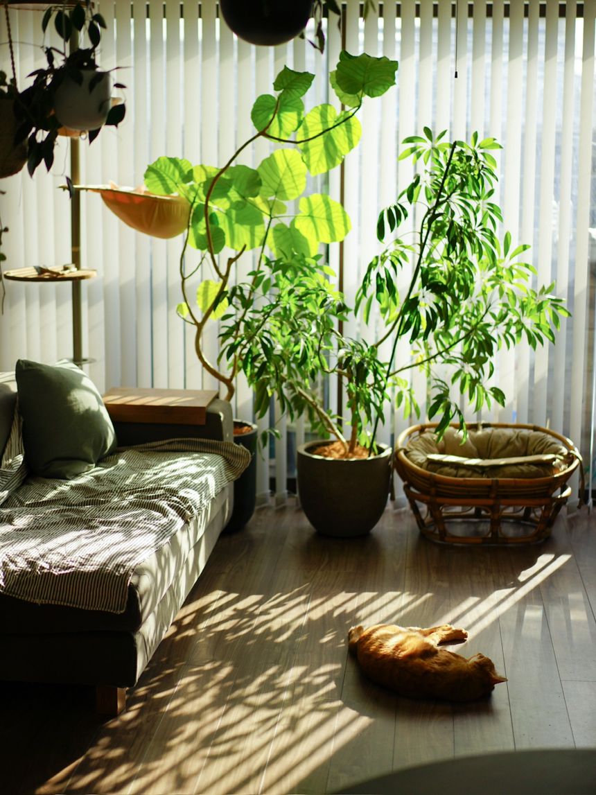 プロップ＆フードスタイリストの“自分を緩める場所” つがねゆきこ ｜ 連載 仕事と生活がリンクする “〇〇屋さん”の暮らしの風景