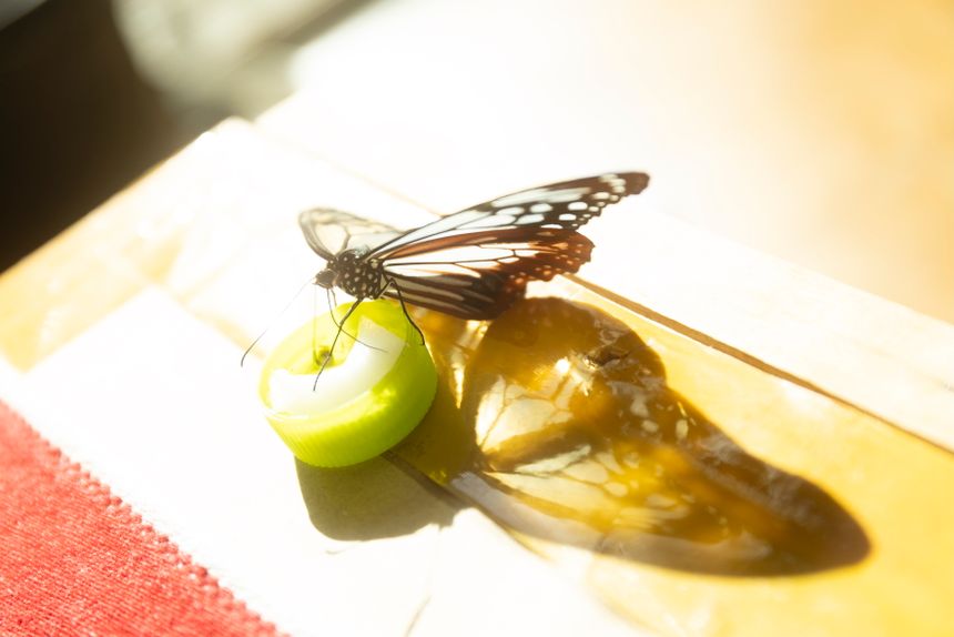 ステージでの身体表現から写真表現の世界へ 今井龍世 ｜ 連載 CHANGE MY LIFE 写真家への転身物語