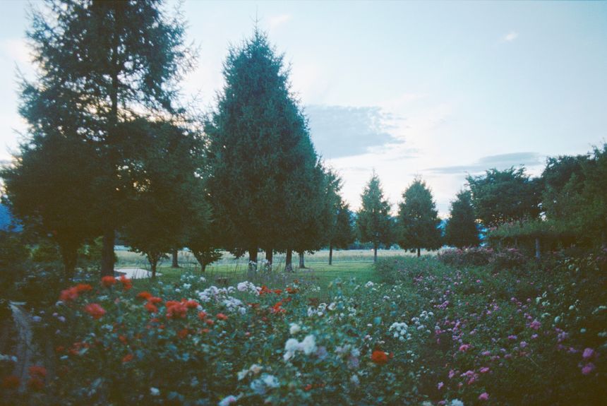 写真がくれる幸せな人生 市橋織江
