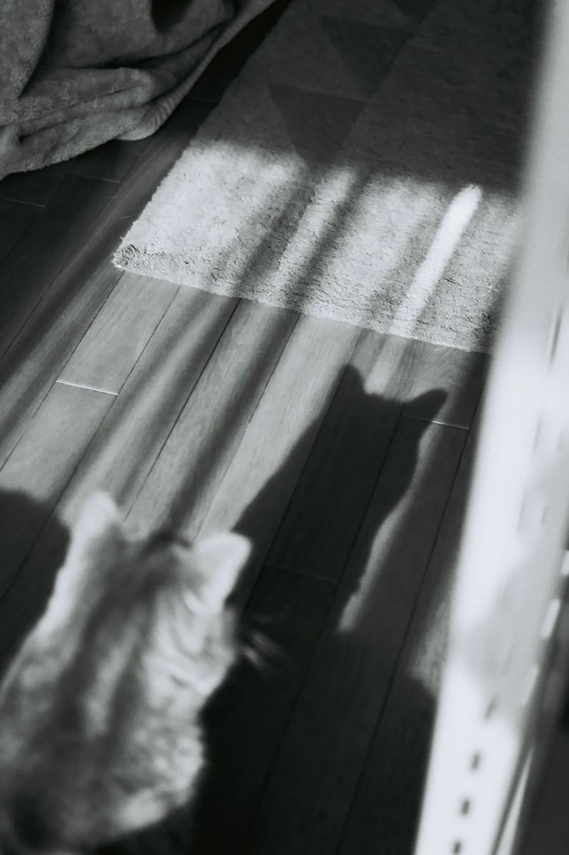 山本春花の写真展「永遠より少し長い日」が、東京 小伝馬町で開催。あらゆる瞬間を切り取り、永遠に留める“写真”という表現に魅せられながらも、そこにある種の恐れも感じる