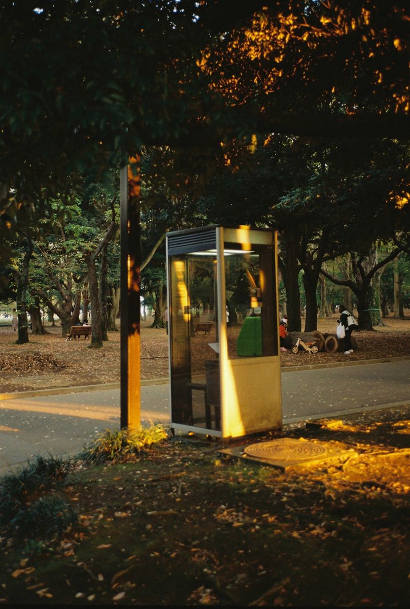 今、わたしの目に写っているもの 柴田ひかり ｜ 連載 『毎日撮るあの人の』7DAYS