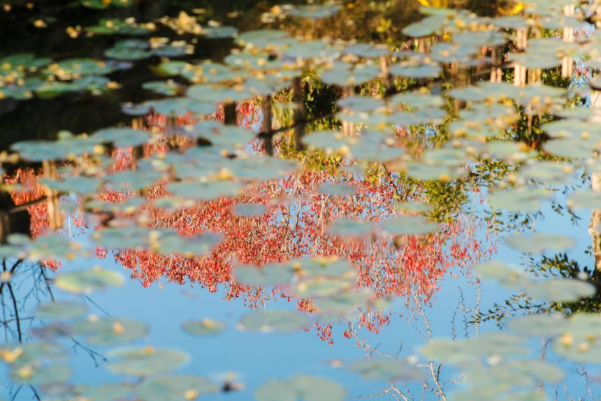 鈴木文彦の写真展「The Music Between Us」が、東京 小伝馬町で開催。良い音を耳にした瞬間とシャッターを切りたくなる場面を目にした瞬間が呼応する