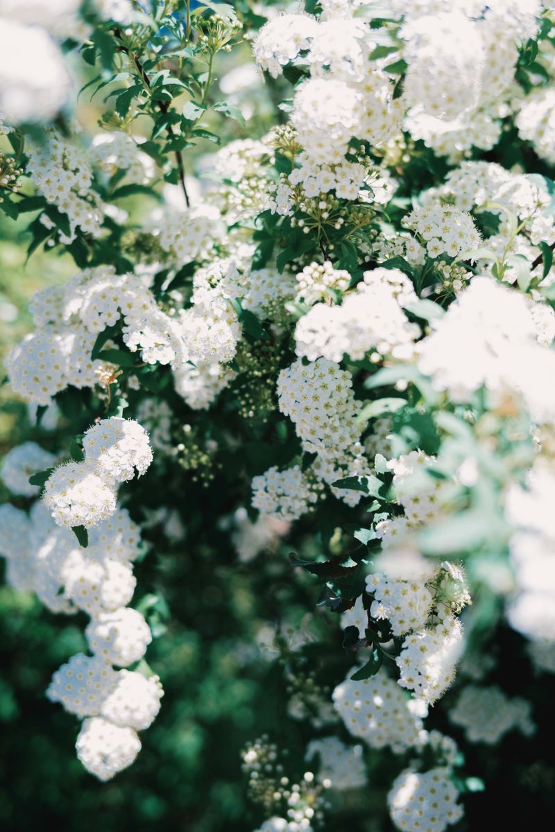 絞りはF2、シャドウは青色に Kimura Hinami ｜ 連載 これが私の“最旬好き”表現 写真を愛する15名のクリエイターが今ハマっていること