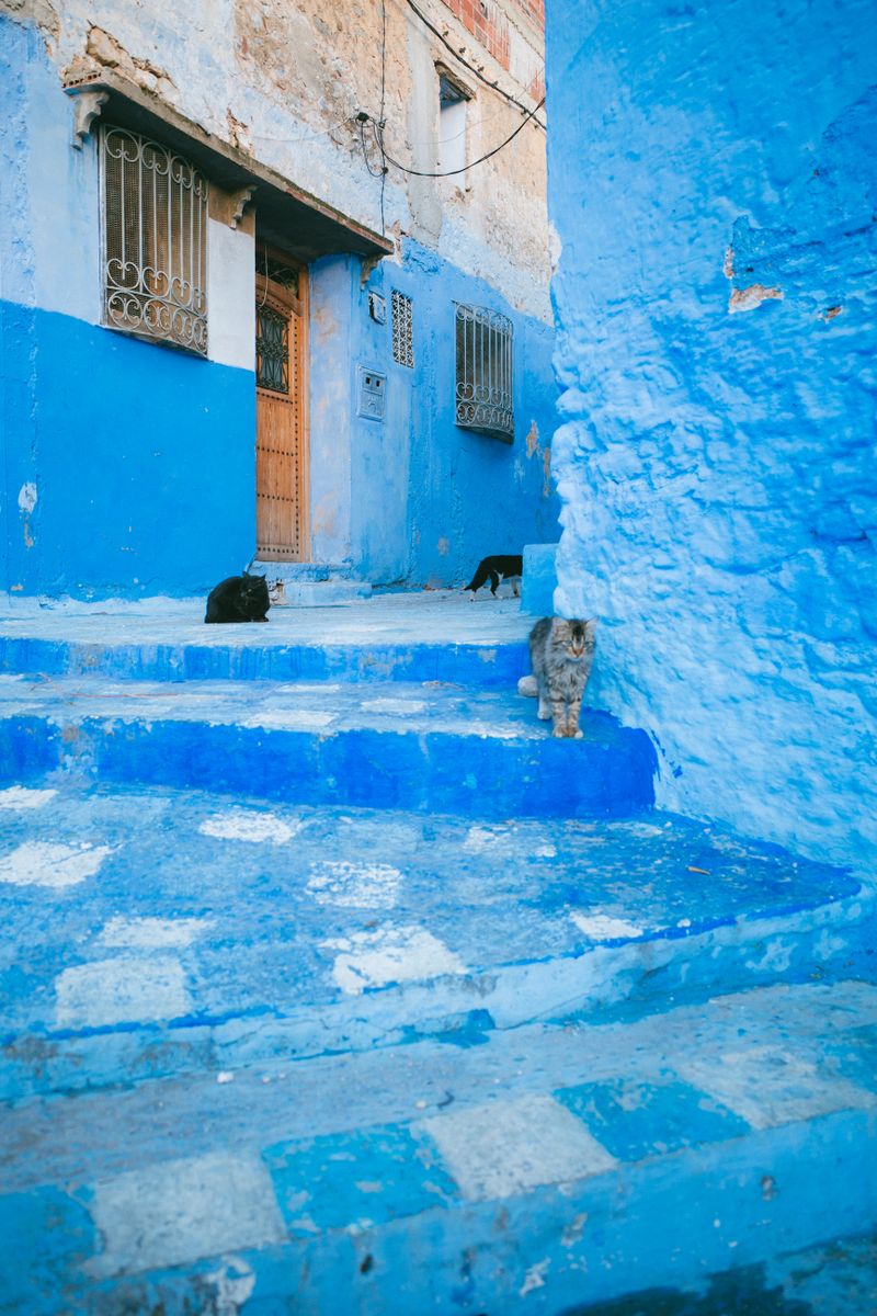 フォトグラファーが行く、モロッコ旅行記－第2回 青い街シャウエン。世界が憧れるフォトジェニックな旧市街