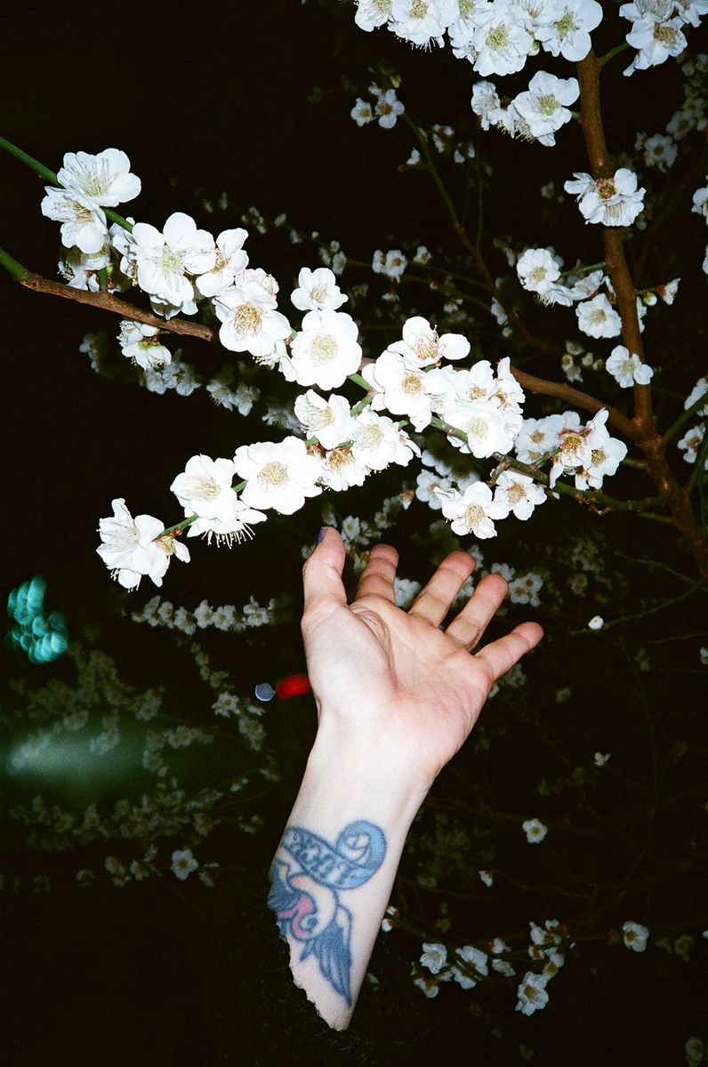 写真家 坂本陽の個展「Telescope」が東京 目黒で開催。望遠鏡をのぞいて宇宙の遠い光を見つめるように、被写体に宿る生命の一瞬のきらめきを捉える