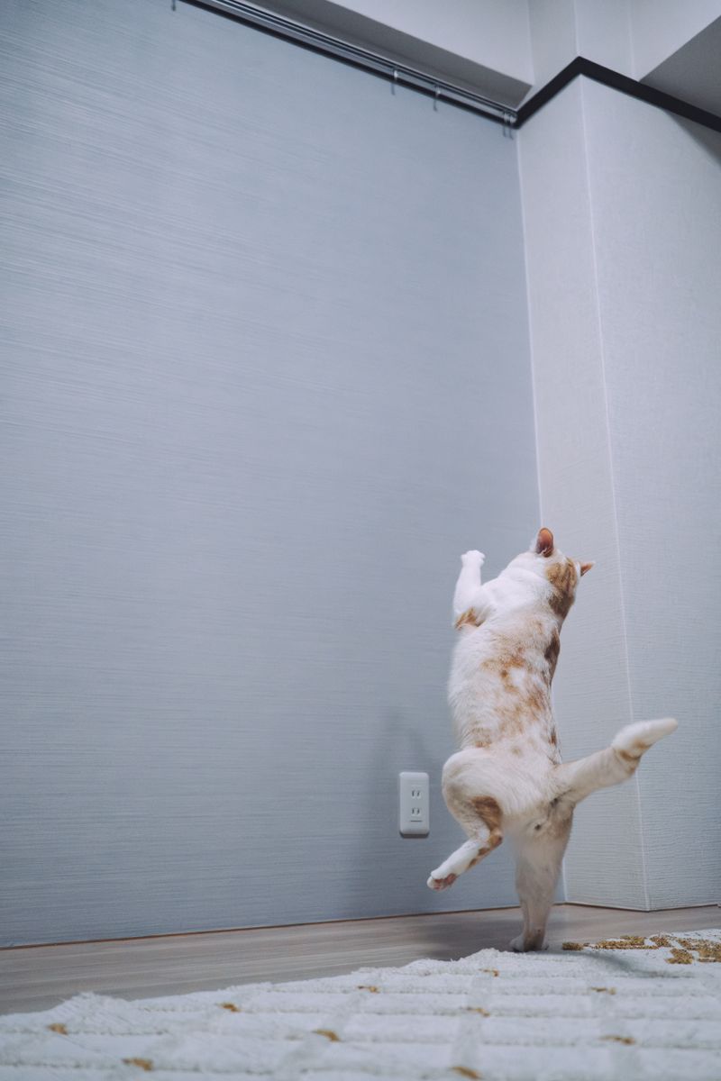 日常に存在する、少しの不思議を切り取る 広谷勇樹 ｜ 連載 これが私の“最旬好き”表現 写真を愛する15名のクリエイターが今ハマっていること