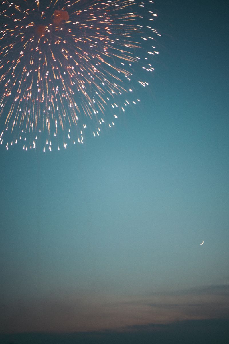 日常に寄り添う小さな月を撮る sia. ｜ 連載 これが私の“最旬好き”表現 写真を愛する15名のクリエイターが今ハマっていること