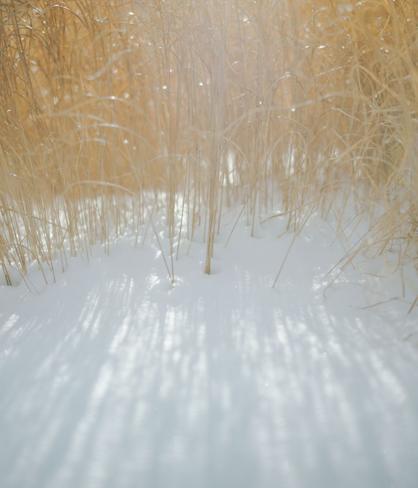 マニュアルフォーカスで被写体とじっくり向き合って撮影する 御手洗剛 ｜ 連載 これが私の“最旬好き”表現 写真を愛する15名のクリエイターが今ハマっていること