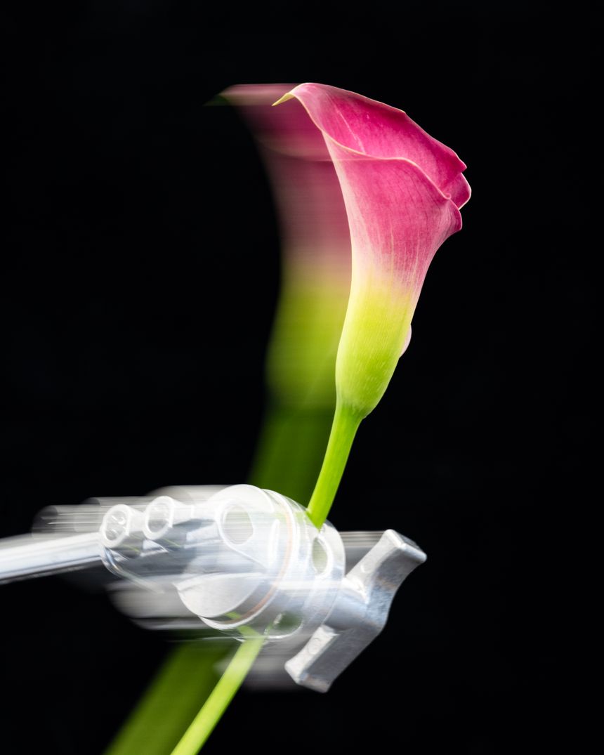 違和感の美しさ／古屋呂敏のFocal Length Vol.29