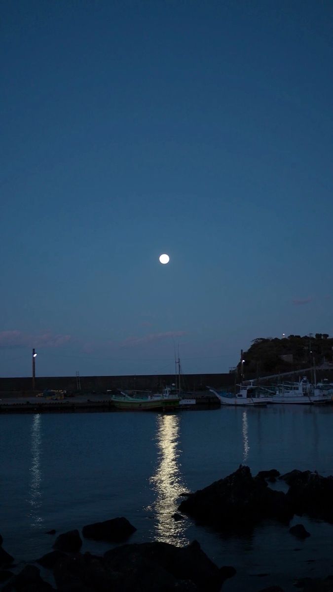 写真と動画のはざまで魅せる、Photographic motion。第1回 嵐田大志「静かな揺らめきをすくいあげる」