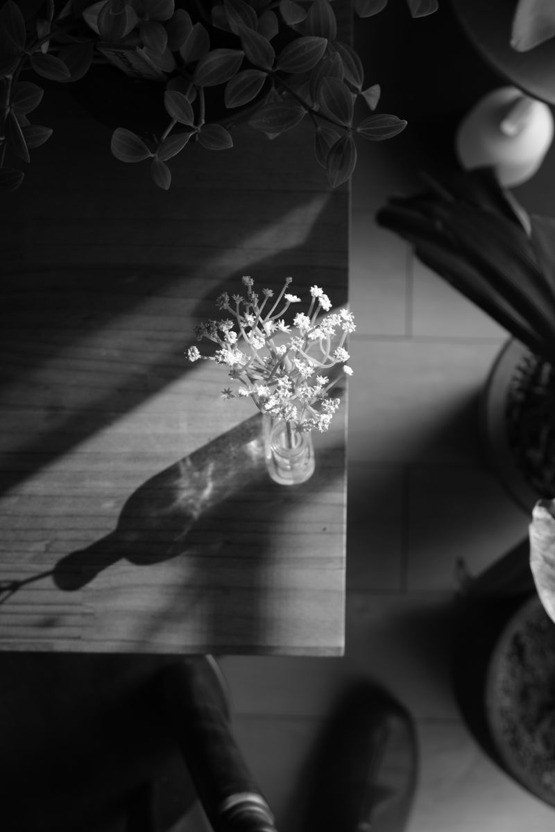 色に恋して。デジタル写真をフィルム風に「FUJIFILM フィルムシミュレーションの魅力」vol.18　YU-TA