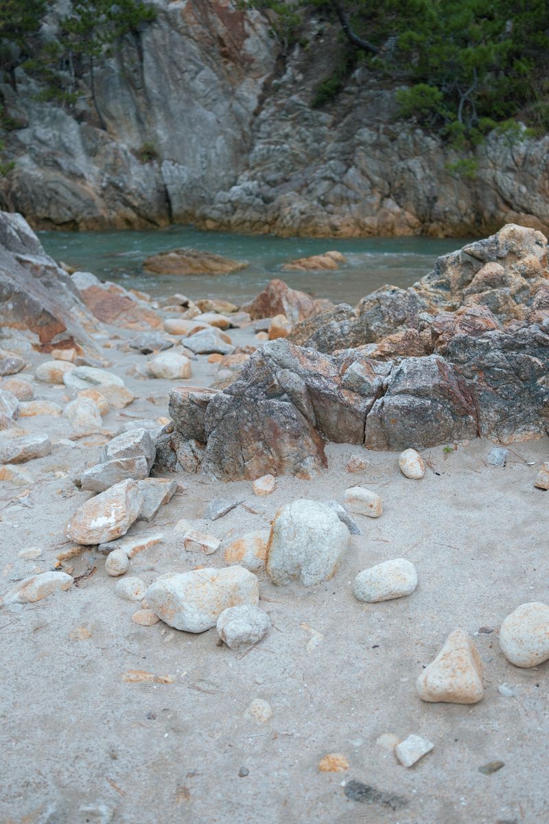 写真家 ヤスダ彩の個展「forlorn voices」が東京 東中野にて開催。祖母の語りや古いアルバムの写真による"多層的な窓"越しに現実世界を眼差す