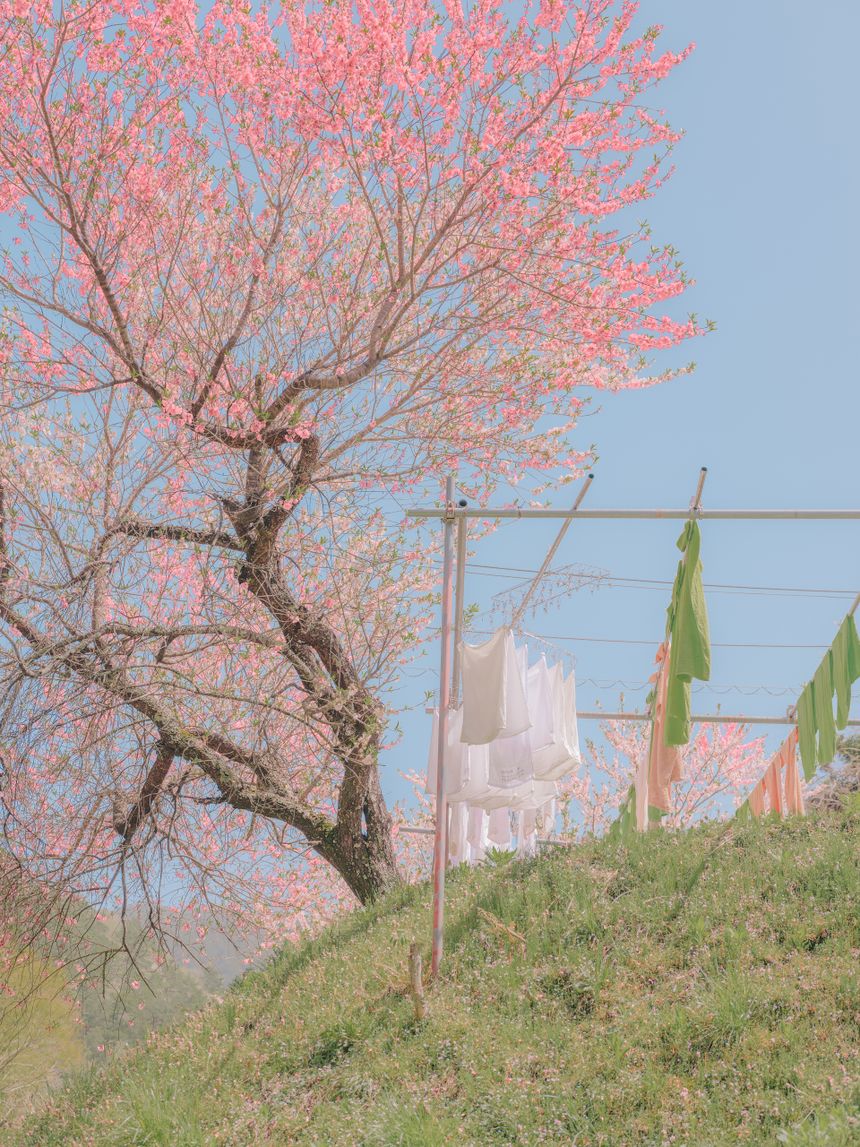 ライカカメラジャパンが、テレサ・フレイタス写真展「Meeting Point」と「Colour Matter(s)」を、表参道と京都で開催。写真家の色彩をめぐる思索と実践を二つのシリーズを通して紹介する