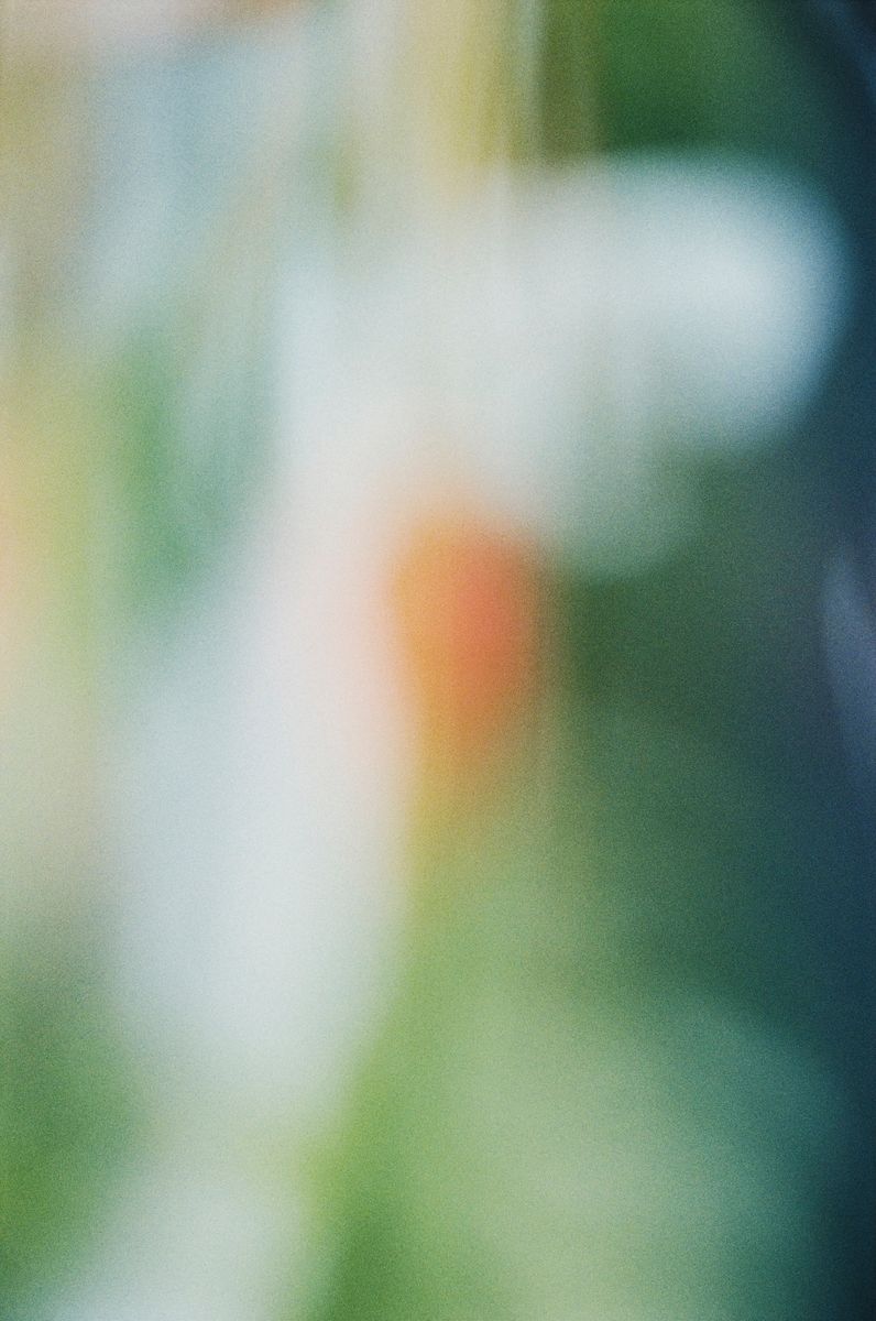 私は絵が描けない ｜ I can't draw a painting 北岡稔章