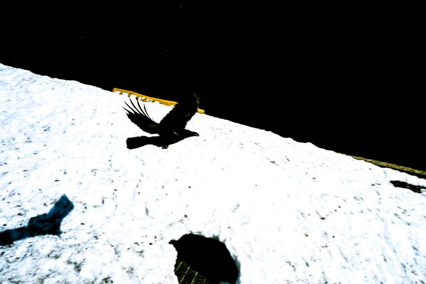 小見山峻のステートメント