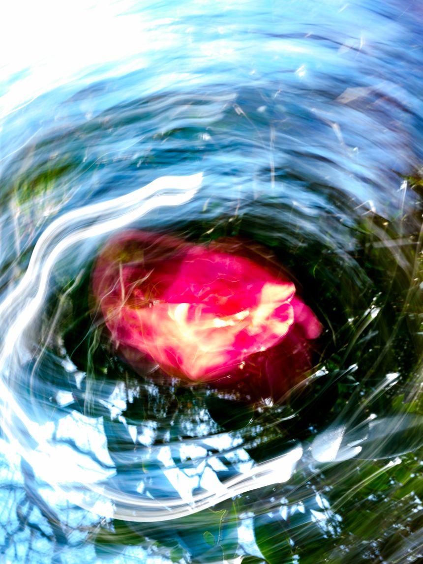 色に恋して。デジタル写真をフィルム風に「FUJIFILM フィルムシミュレーションの魅力」vol.19　橋本 優