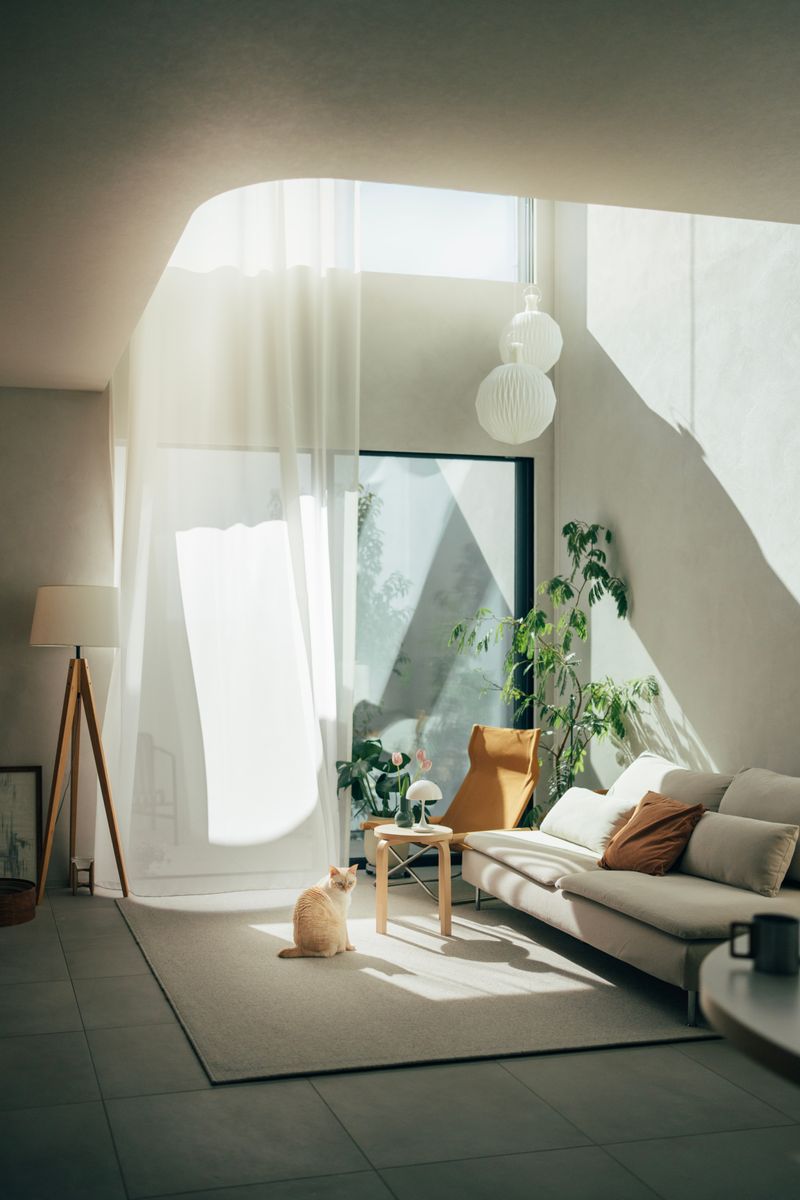 写真と動画のはざまで魅せる、Photographic motion。第2回 加藤 光「時間を少し重ねることで、より伝わる空気感」