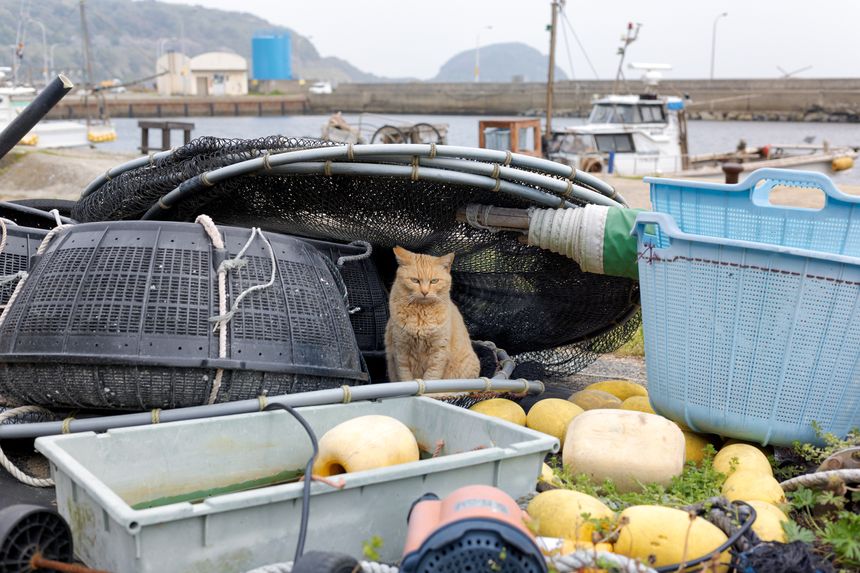 岡嶋和幸 写真展「海のほとり」が銀座で開催。人と海の関係性を見つめ、地域ごとに異なる海辺の風景から日本の輪郭を描く
